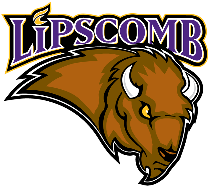 Lipscomb Bisons 2002-2011 Primary Logo t shirts iron on transfers